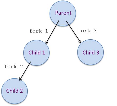 Each invocation of [code c]fork()[/code] results in two processes, the <b>child</b> and the parent. . Fork fork fork how many child process will be created